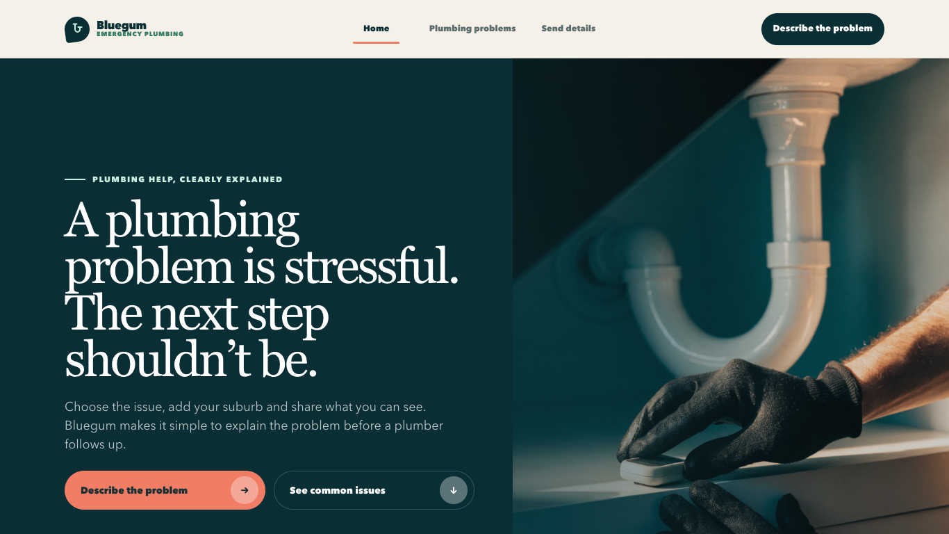 Bluegum Emergency Plumbing desktop homepage with a clear problem triage path and residential plumbing imagery.